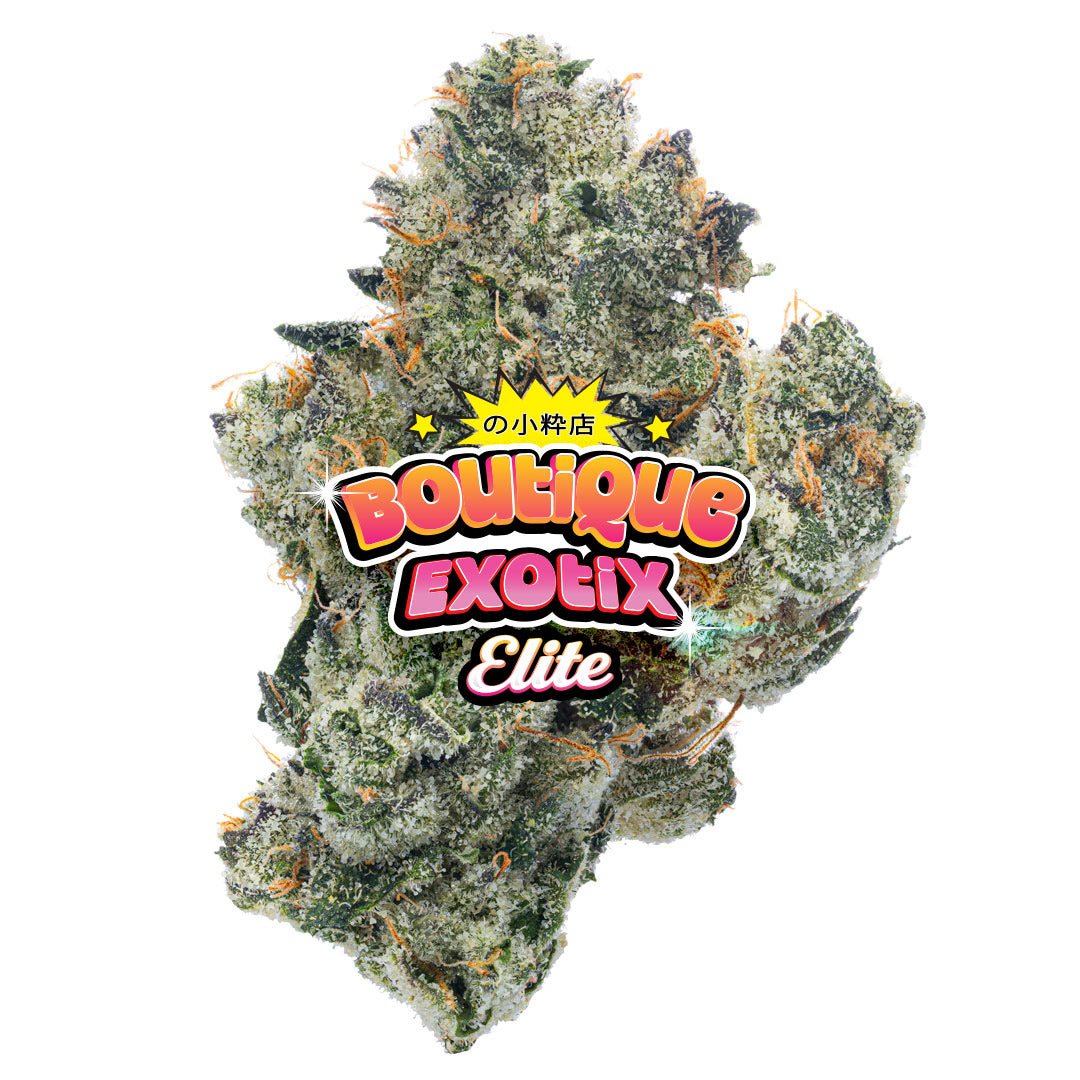 Elite Boutique Exotic Dark Matter - Bulk - Hybrid