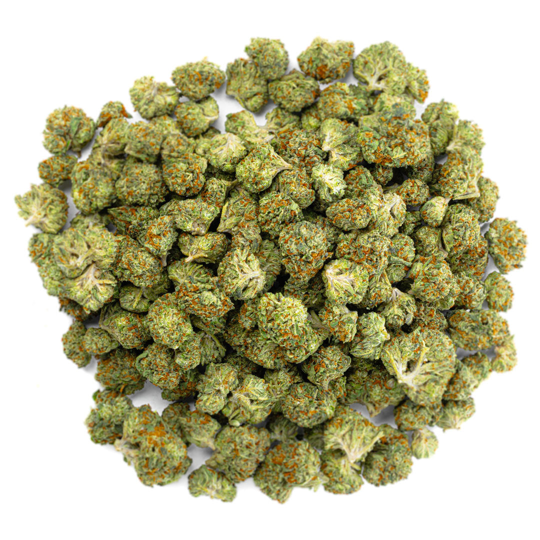 ZAZA - Gelato 41 - 28 Grams - Hybrid