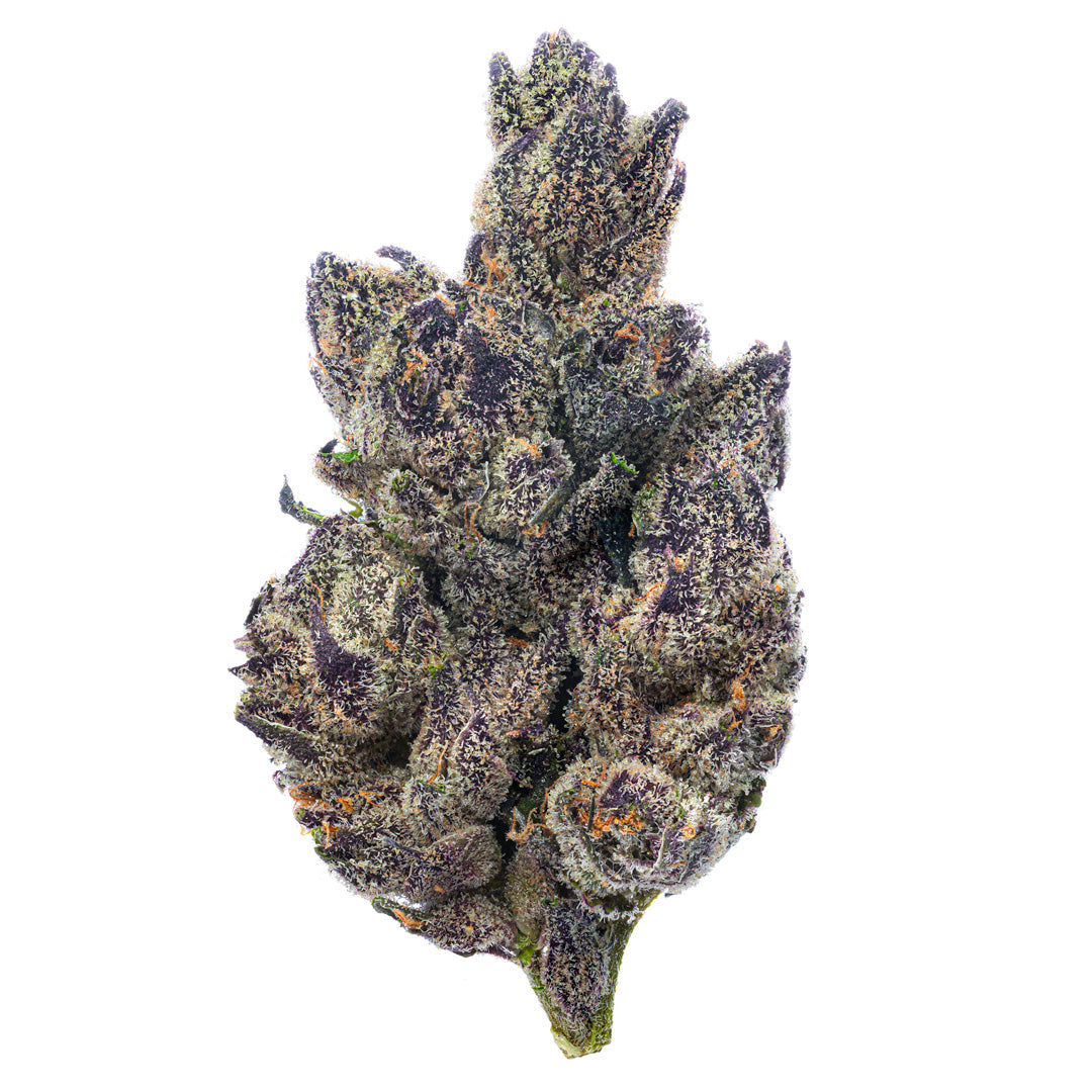 ZAZA - Indoor Exotics - Purple Jack - 14 Grams - Hybrid