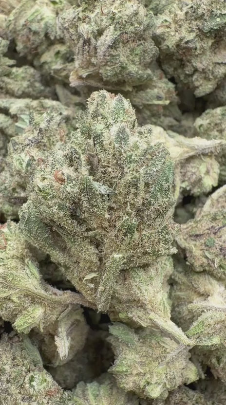 Godfather OG - Bulk - Indica