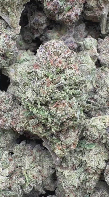 Cereal Milk - Bulk - Hybrid