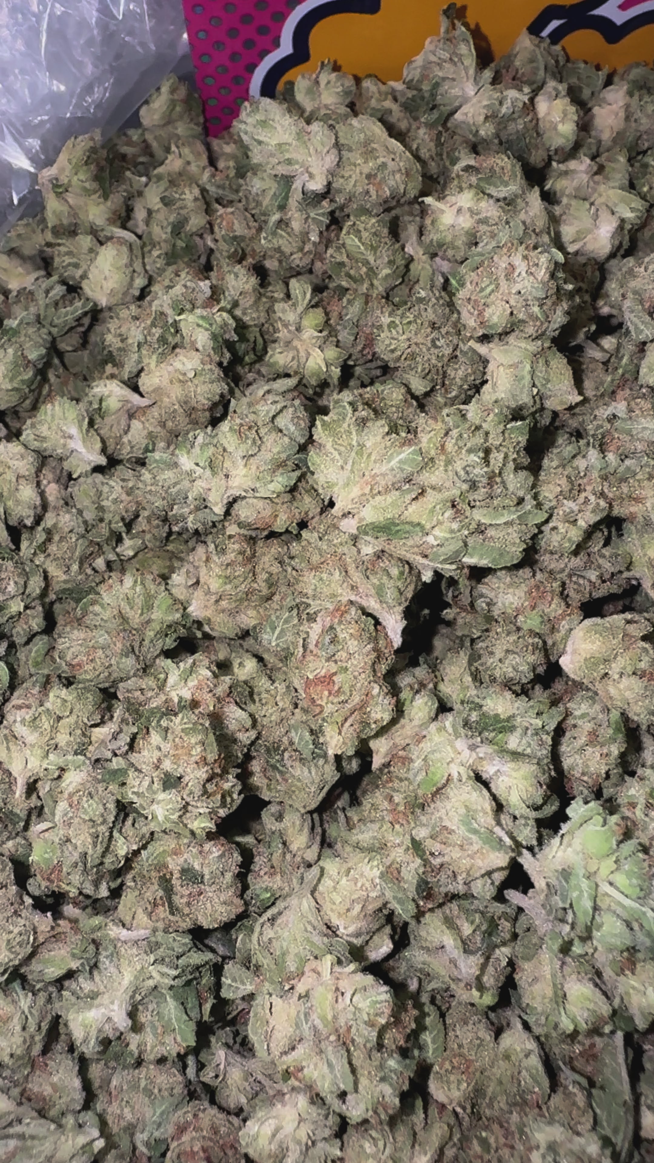 OG Kush Littles - Bulk Littles - Indica