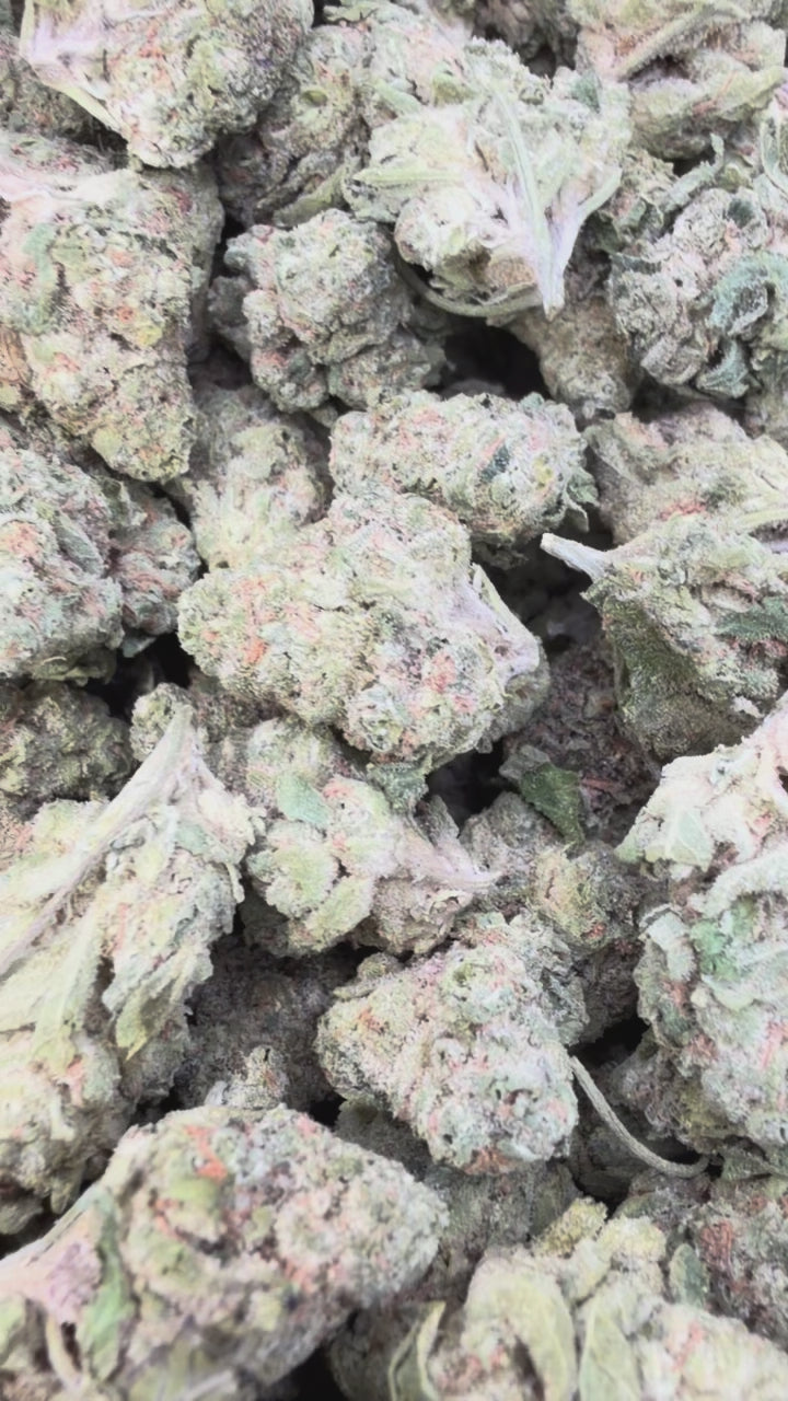 Gusher Mintz Mediums - Bulk Mediums - Hybrid