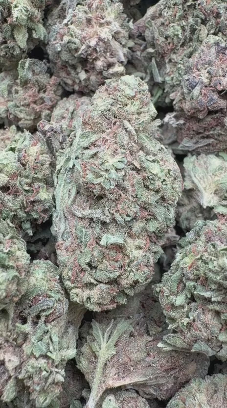 Durban Poison - Bulk - Sativa