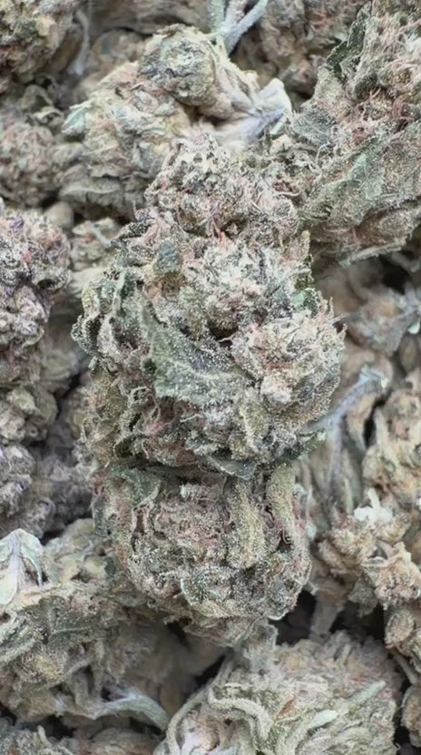 Sour Apple - Bulk - Hybrid