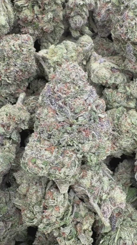 Warheads - Bulk - Sativa