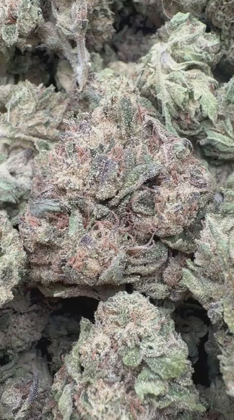 LCG x Runtz Indoor - Bulk - Hybrid